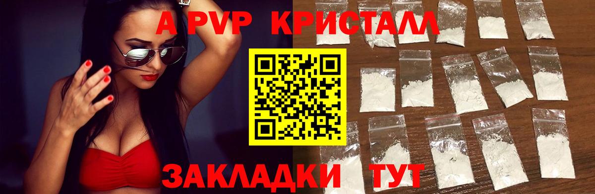 APVP СК Ишим