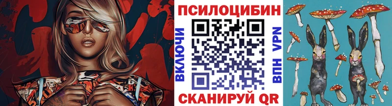 магазин продажи   Ишим  Псилоцибиновые грибы Magic Shrooms 