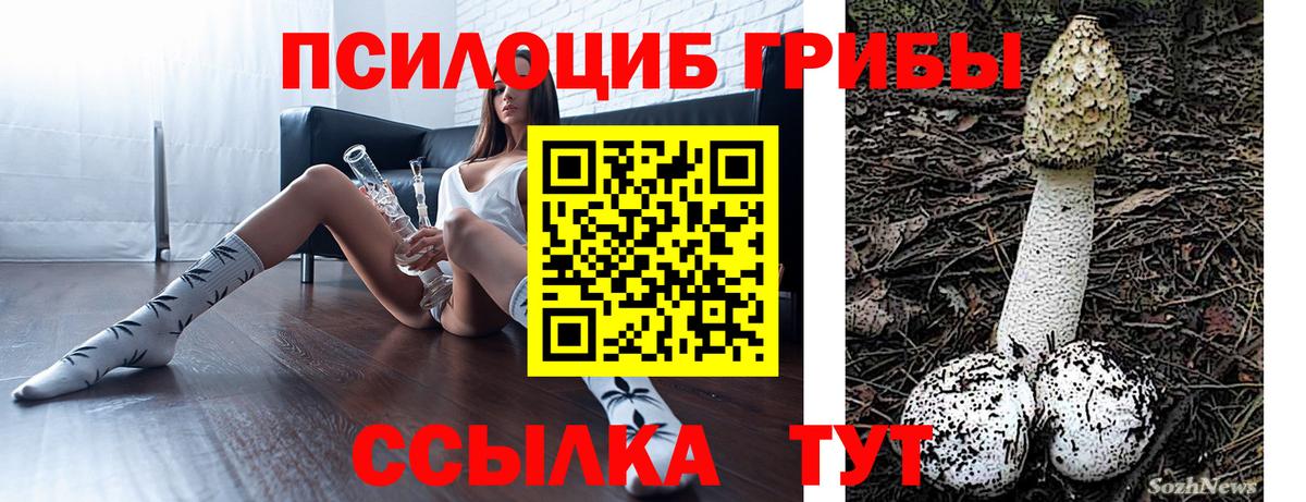 Псилоцибиновые грибы прущие грибы Ишим